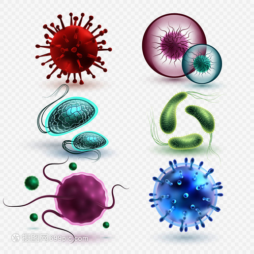 3D現(xiàn)實(shí)中的微生物與細(xì)菌 隔離、媒集與微觀世界的探索