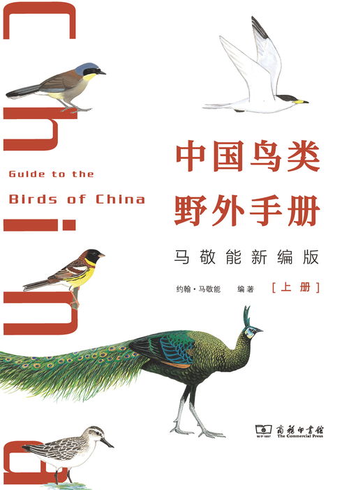 國際生物多樣性日 這份自然書單，帶你領(lǐng)略生命的壯美