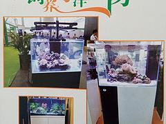 專業(yè)海洋生物魚缸選購指南 水藍(lán)玻璃制品公司如何為您打造理想水族世界