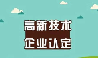 社會經濟咨詢服務項目申報周期優化 高效選擇指南