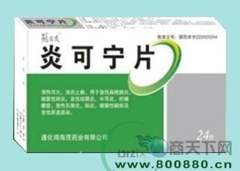 炎可寧片 招商政策、價格說明、功效用量及長春寶華醫(yī)藥網(wǎng)絡(luò)優(yōu)勢全解析